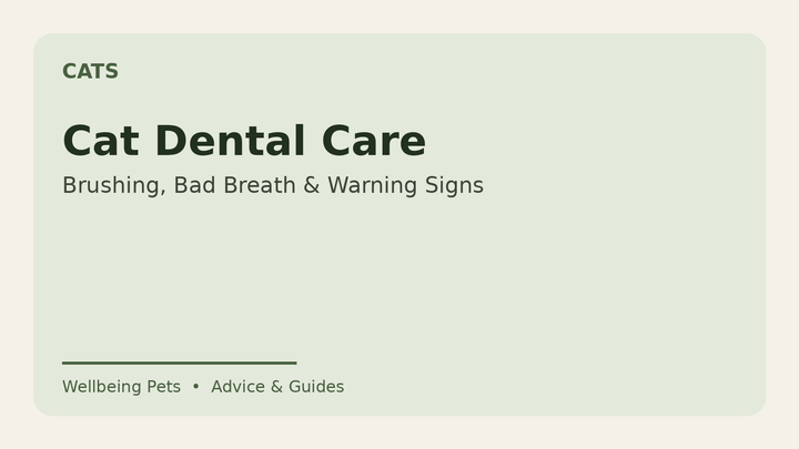 Cat dental care guide from Wellbeing Pets