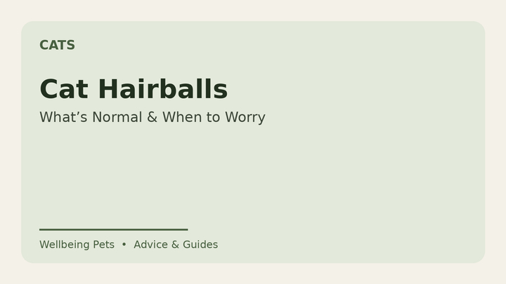 Cat hairballs guide from Wellbeing Pets
