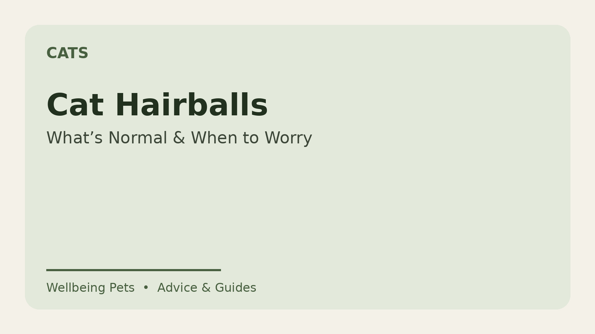 Cat hairballs guide from Wellbeing Pets