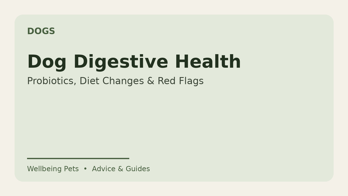 Dog digestive health guide from Wellbeing Pets