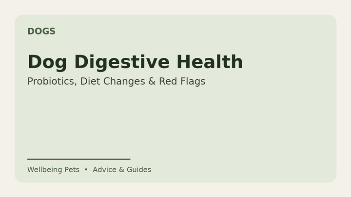 Dog digestive health guide from Wellbeing Pets