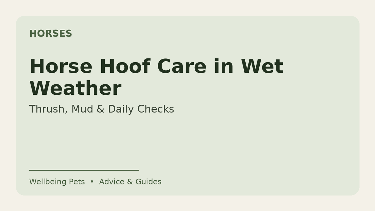 Horse hoof care in wet weather guide from Wellbeing Pets