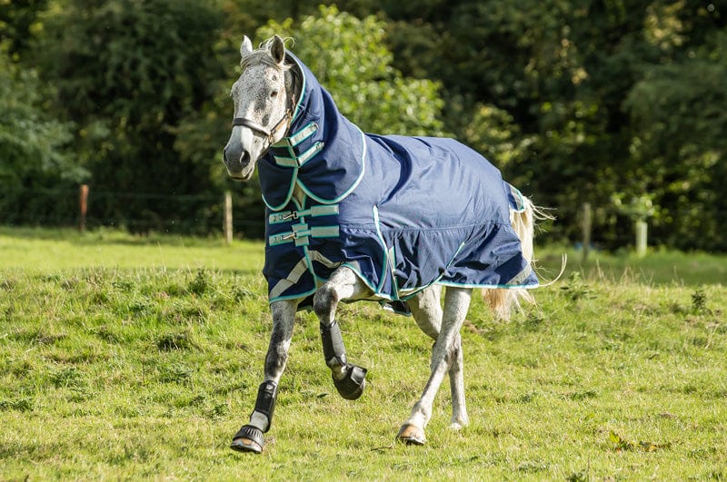 450g Ultimate Heavyweight Turnout Rug With Detachable Neck - Navy - image 3 - Wellbeing Pets