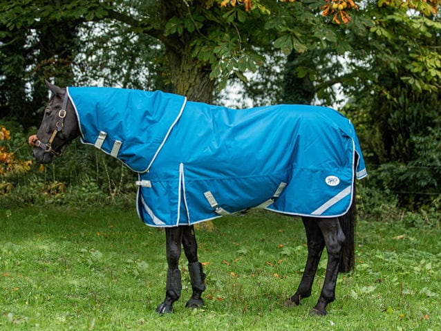 300g Turnout Rug With Detachable Neck - Turquoise - Wellbeing Pets