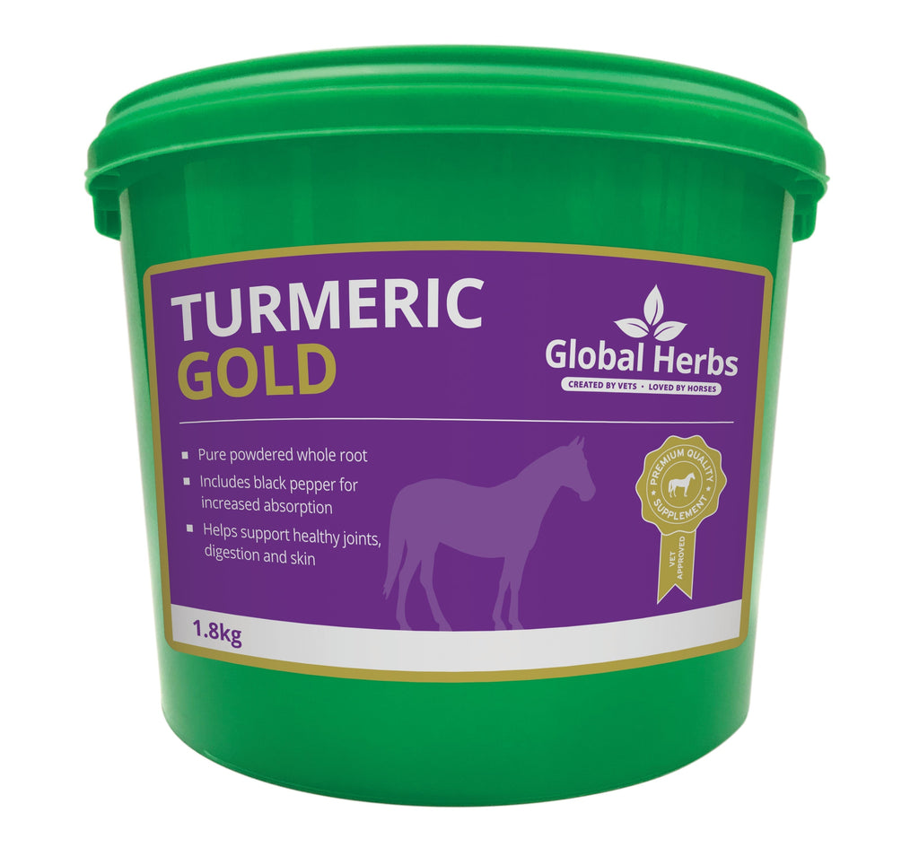 Global Herbs Turmeric for Horses - Wellbeing Pets