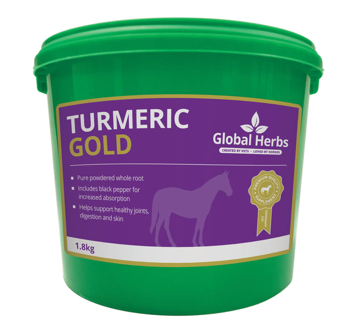 Global Herbs Turmeric for Horses