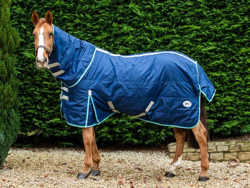100g Stable Rug With Detachable Neck - Navy/Mint - Wellbeing Pets