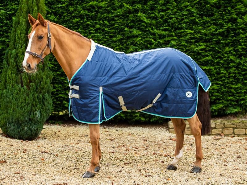 100g Stable Rug With Detachable Neck - Navy/Mint - image 3 - Wellbeing Pets
