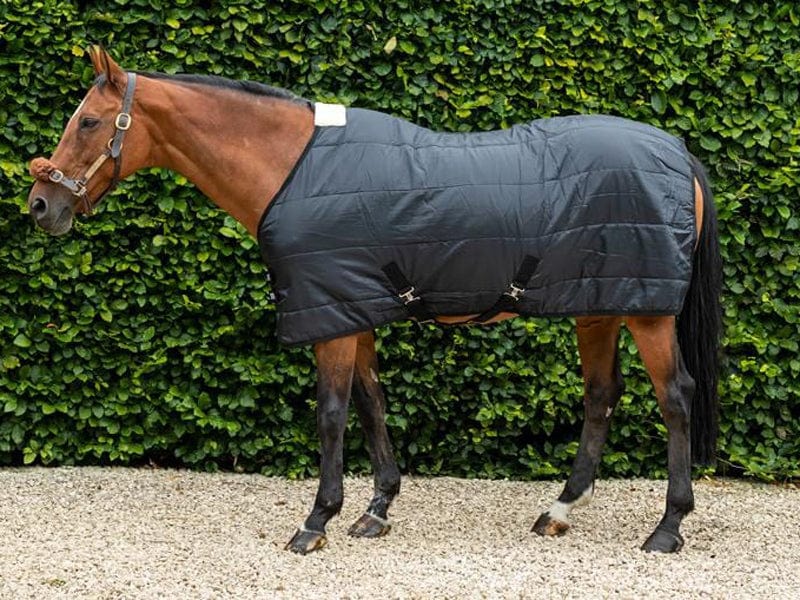 100g Horse Under Rug With Surcingles - Wellbeing Pets