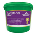 Global Herbs Dandelion Leaf for Horses - Wellbeing Pets