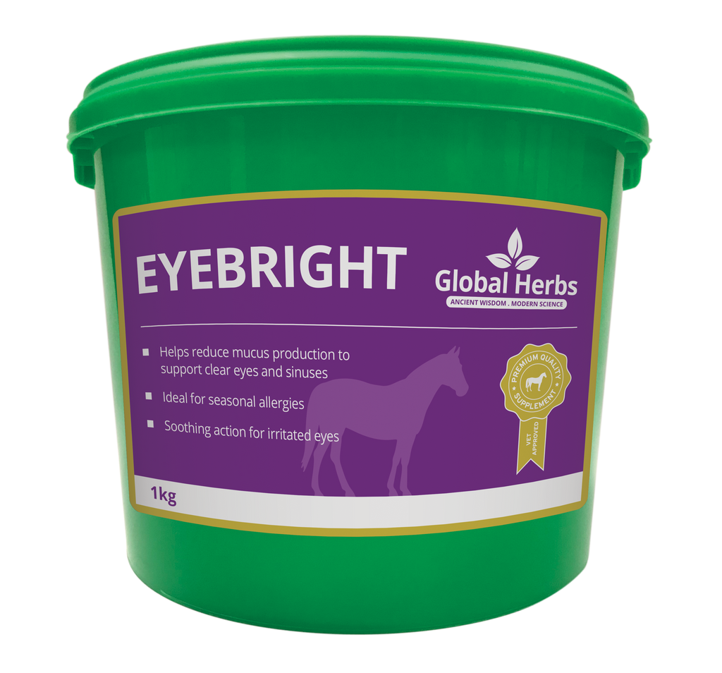 Global Herbs Eyebright for Horses - Wellbeing Pets