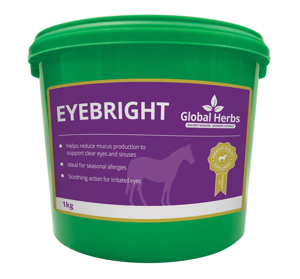 Global Herbs Eyebright for Horses - image 2 - Wellbeing Pets