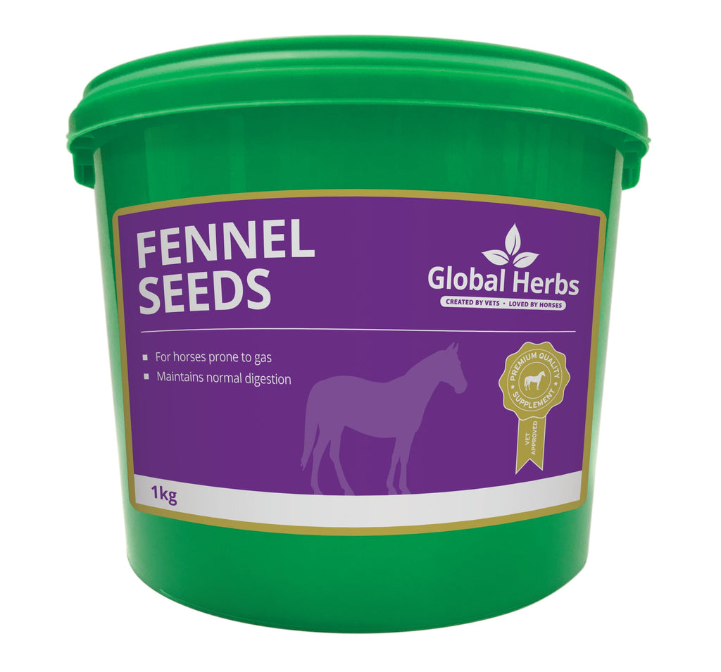 Global Herbs Fennel Seeds for Horses - Wellbeing Pets