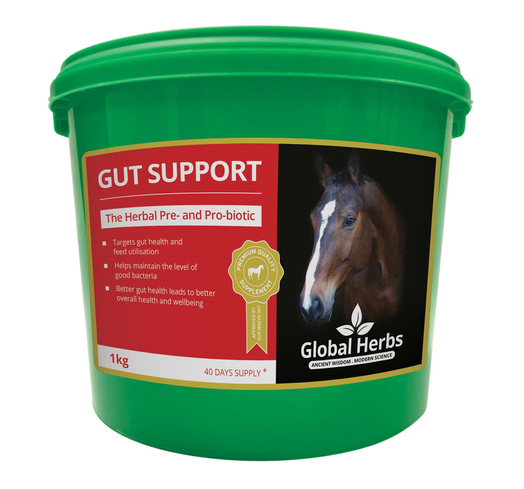 Global Herbs Gut Support for Horses - Wellbeing Pets