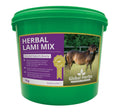 Global Herbs Herbal Lami Mix for Horses - Wellbeing Pets