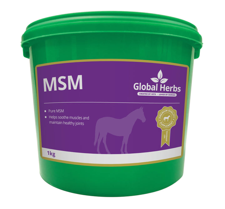 Global Herbs MSM 1kg for Horses