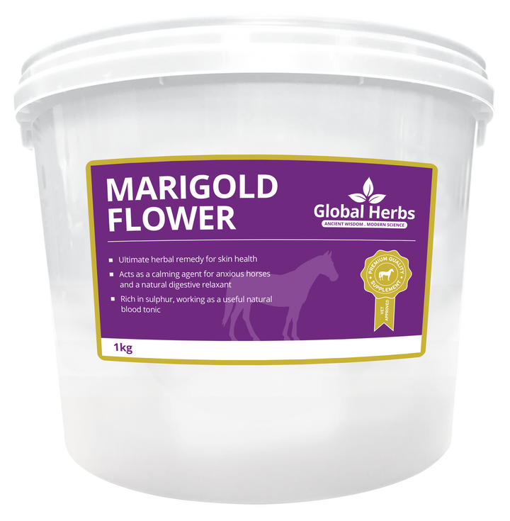 Global Herbs Marigold Flower for Horses