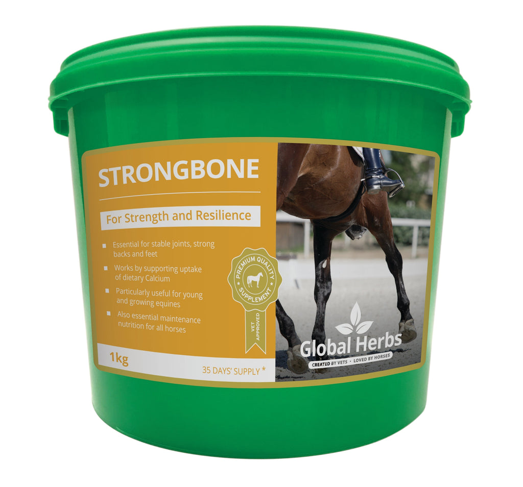 Global Herbs StrongBone for Horses | 1kg - Wellbeing Pets
