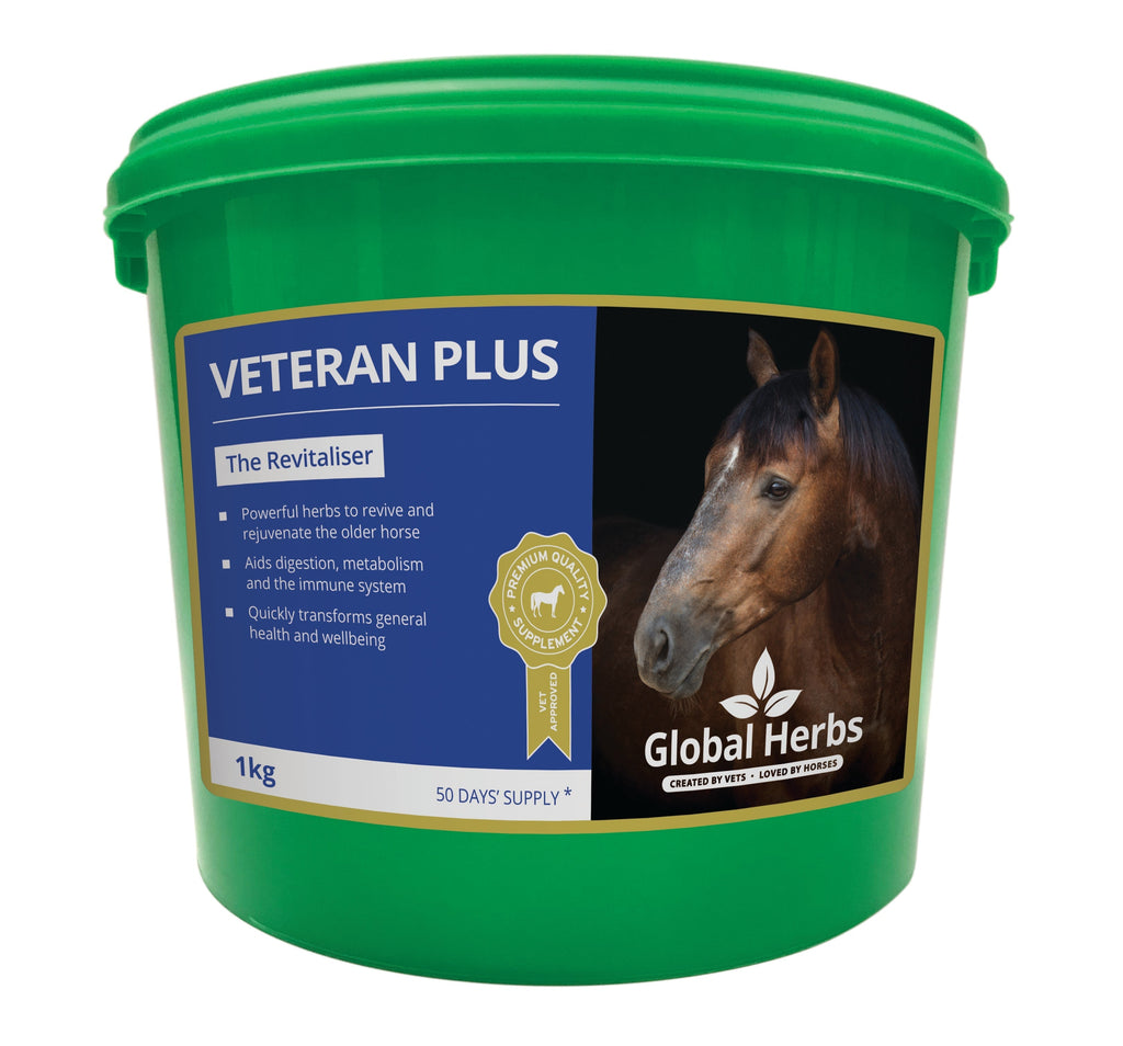 Global Herbs Veteran Plus 1kg for Horses - Wellbeing Pets