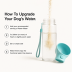 Pawer Water Mobility & Glow | 12 Sticks by Pawer Water – image 4