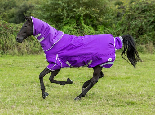 360g Turnout Rug With Detachable Neck - Purple - image 2 - Wellbeing Pets