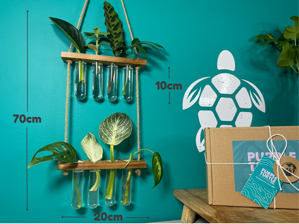 Plant Propagation Gift Set #4