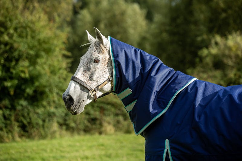 450g Ultimate Heavyweight Turnout Rug With Detachable Neck - Navy - image 4 - Wellbeing Pets