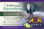 Perry Nutrition EASIApple Electrolytes for Horses - image 4 - Wellbeing Pets