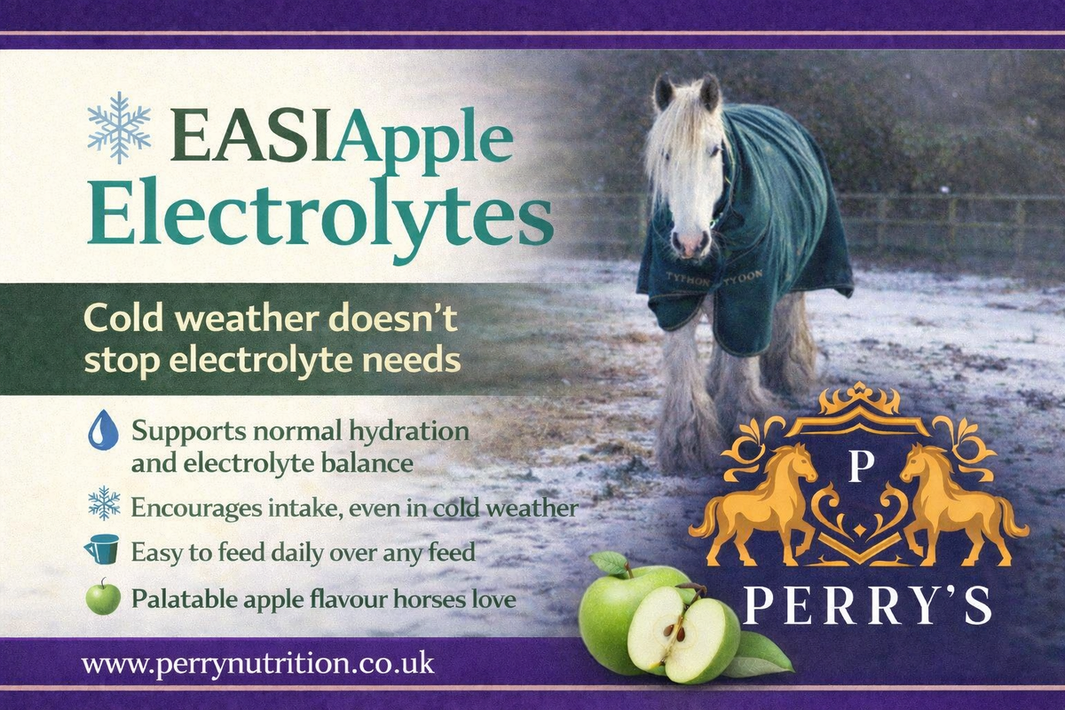 Perry Nutrition EASIApple Electrolytes for Horses - image 4 - Wellbeing Pets