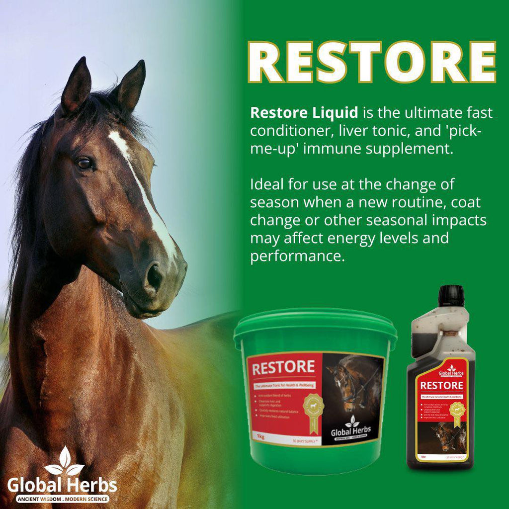 Restore - Global Herbs - product image - Wellbeing Pets