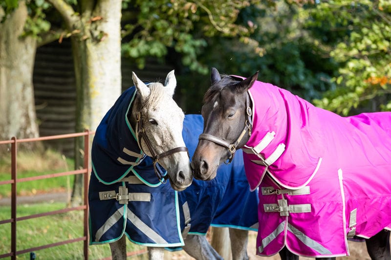 450g Ultimate Fixed Neck Turnout Rug - Mulberry - image 3 - Wellbeing Pets
