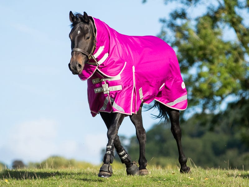 450g Ultimate Fixed Neck Turnout Rug - Mulberry - Wellbeing Pets