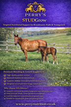 Perry Nutrition STUDGrow | Breeding & Youngstock 7kg - image 2 - Wellbeing Pets