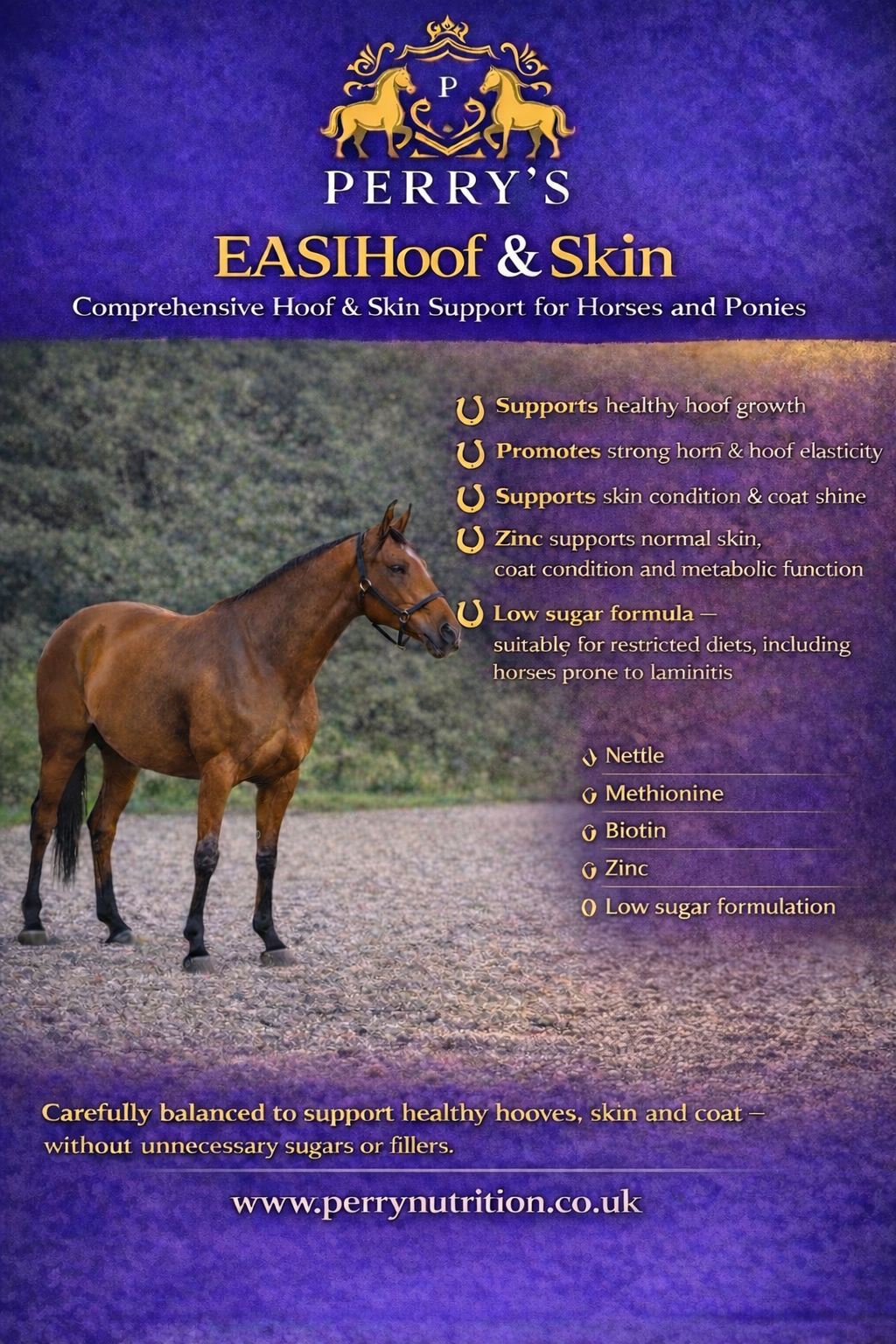 Perry Nutrition EASIHoof & Skin for Horses - image 2 - Wellbeing Pets