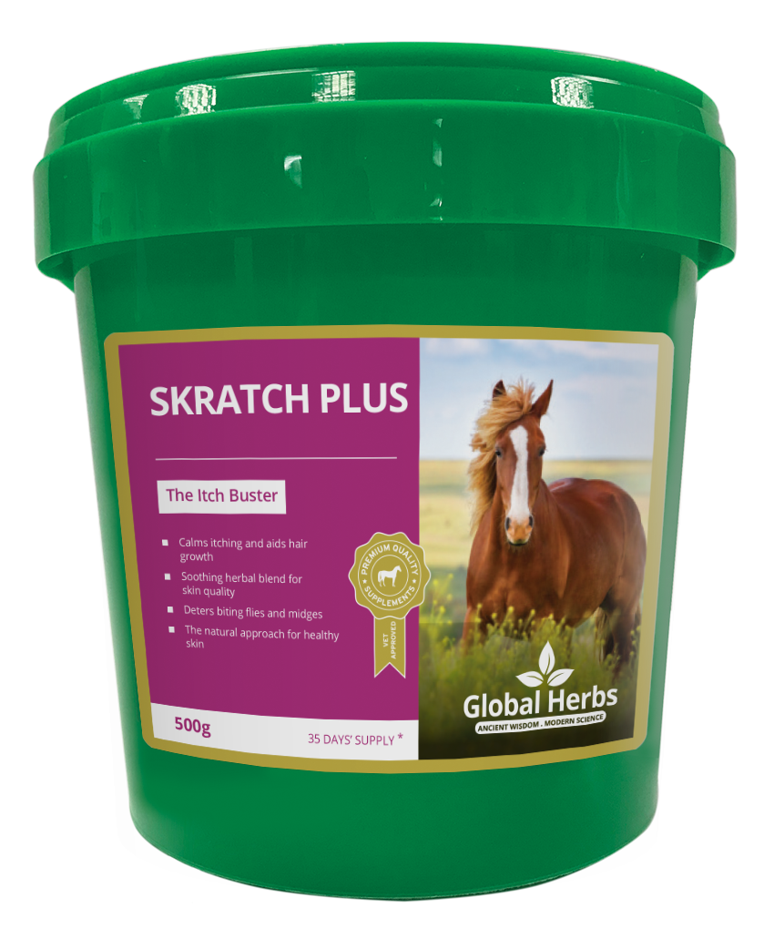 Global Herbs SkratchPlus for Horses - image 3 - Wellbeing Pets
