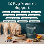 Super Everyday Daily Wellness Powder for Dogs by Superwild – image 3