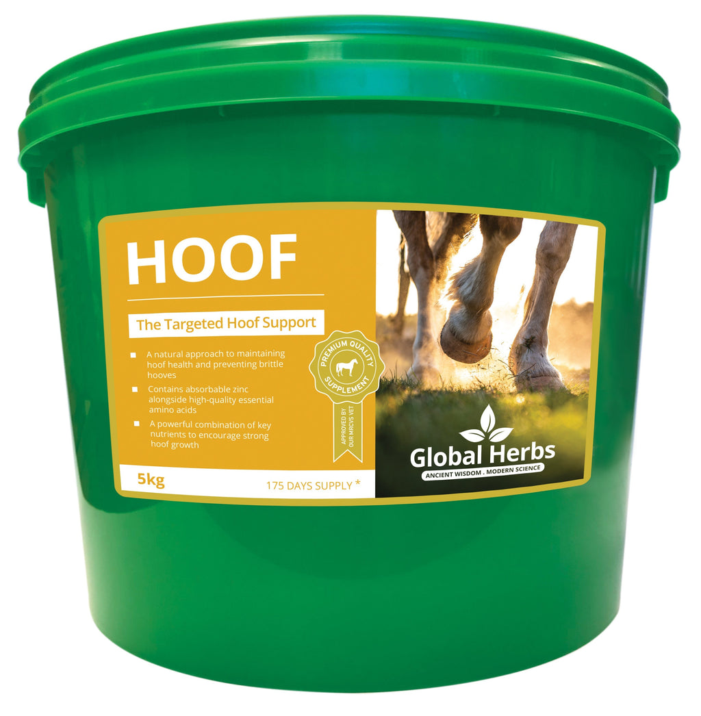Global Herbs Hoof for Horses - image 2 - Wellbeing Pets