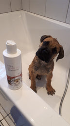 Rose Oil Dog Shampoo by SohoPoms - 250ml product image