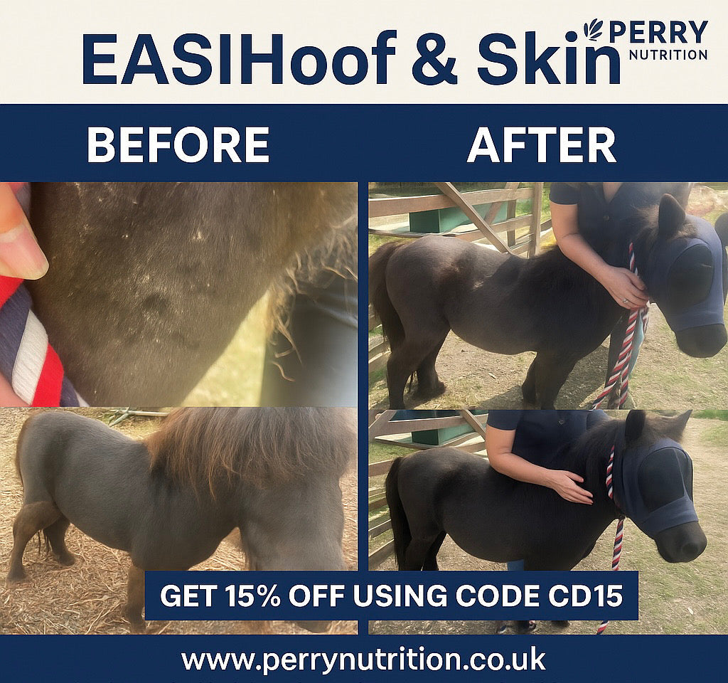 Perry Nutrition EASIHoof & Skin for Horses - image 5 - Wellbeing Pets