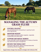 Perry Nutrition EASIGastro Pro | Horse Digestive Support - image 9 - Wellbeing Pets
