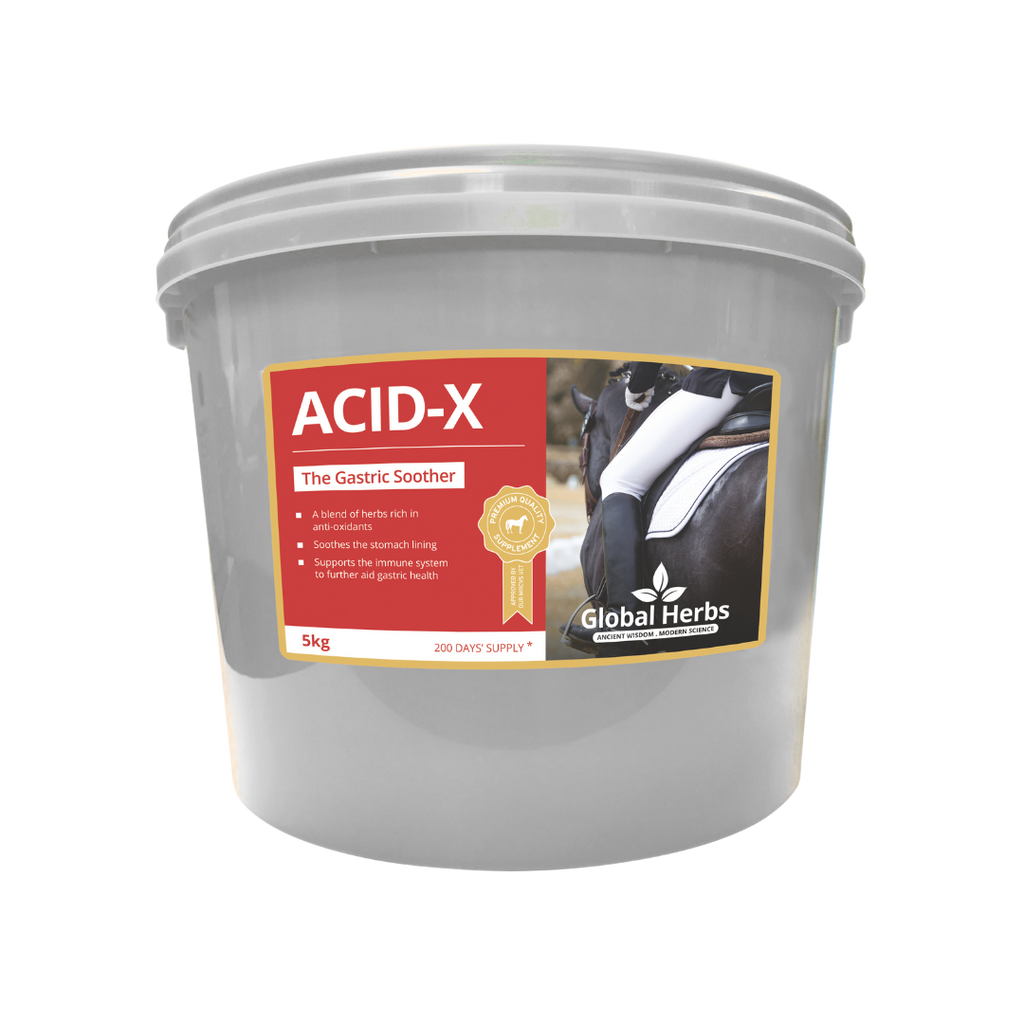 Global Herbs Acid-X for Horses - image 3 - Wellbeing Pets