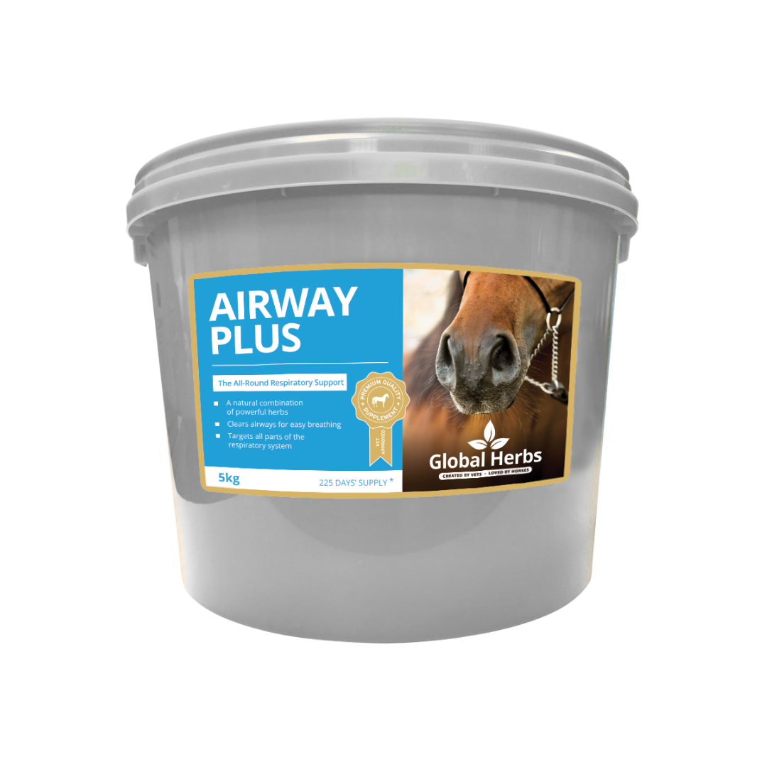 Airway Plus Powder - Global Herbs - product image - Wellbeing Pets