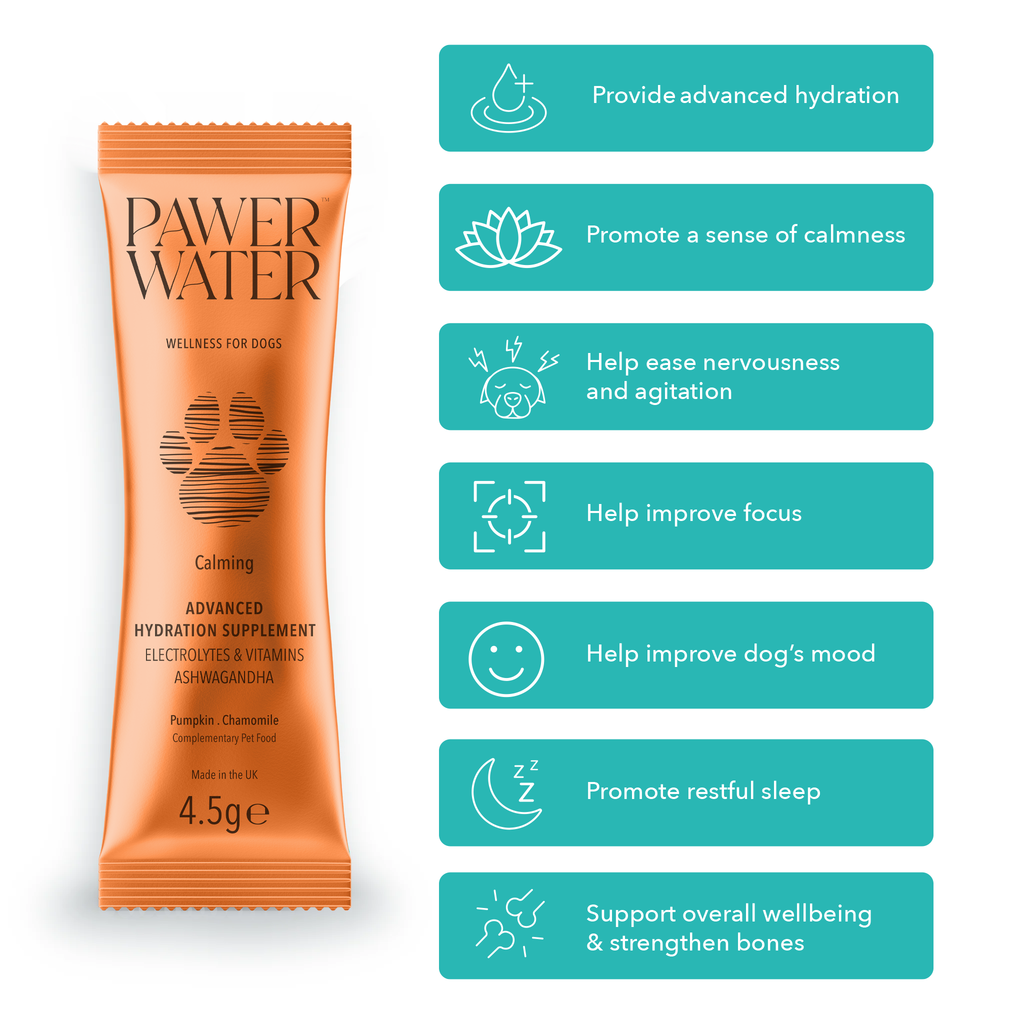 Pawer Water Ultimate Wellness Bundle | 36 Sticks by Pawer Water – image 3
