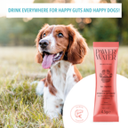 Pawer Water Gut Support | 5 Sticks by Pawer Water – image 7