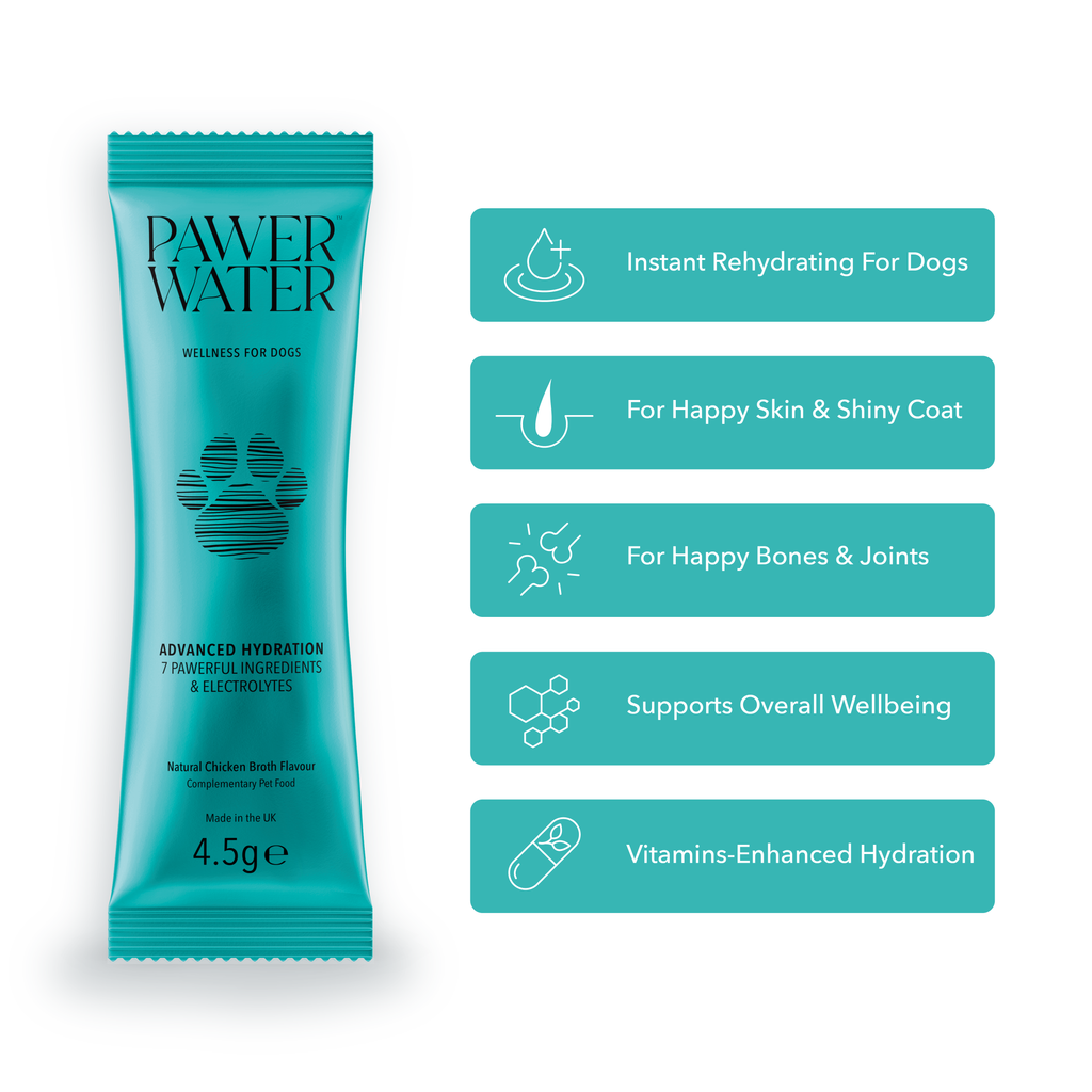 Pawer Water Ultimate Wellness Bundle | 36 Sticks by Pawer Water – image 4