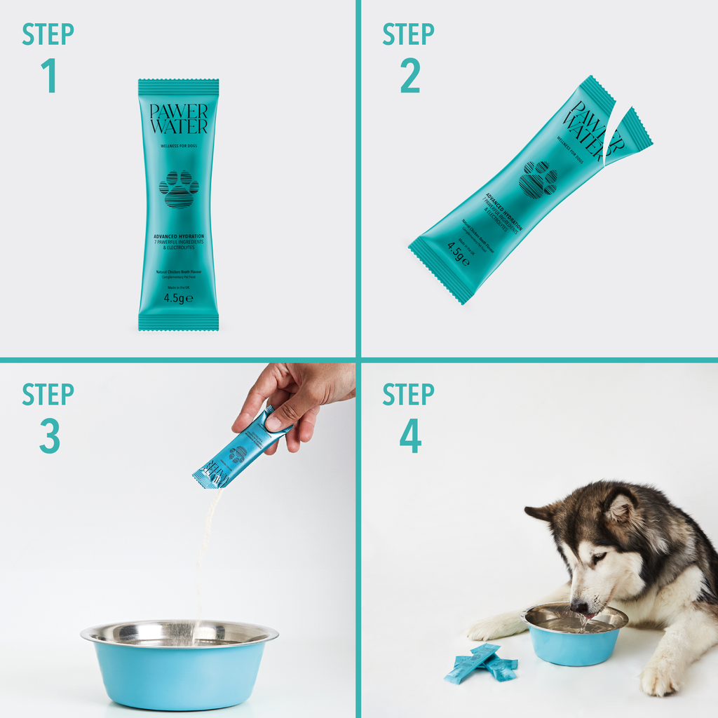 Pawer Water Hydration & Collagen Bundle | 36 Sticks by Pawer Water – image 5