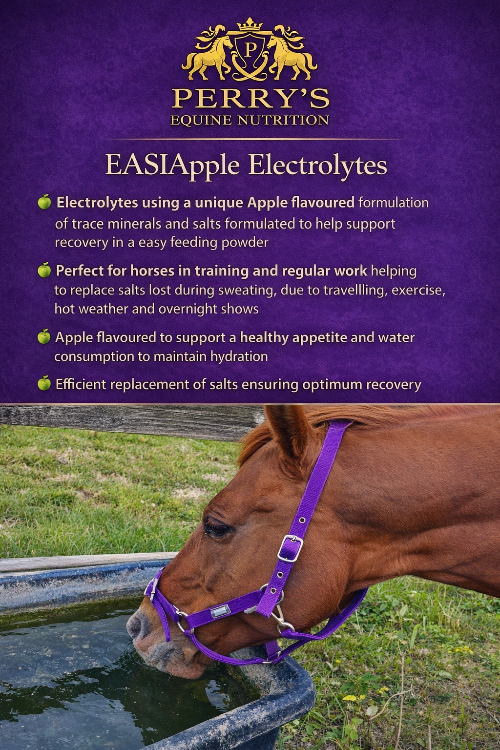 Perry Nutrition EASIApple Electrolytes for Horses - image 5 - Wellbeing Pets