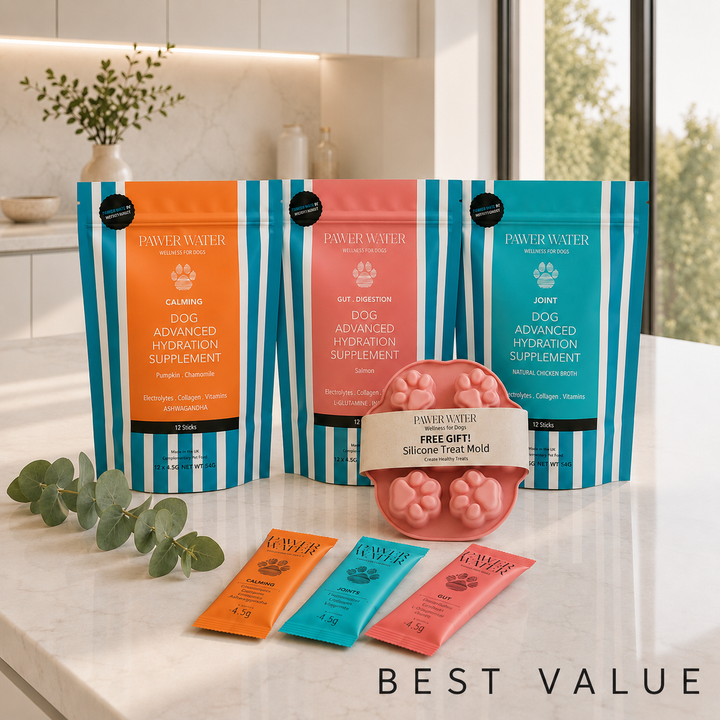 Pawer Water Ultimate Wellness Bundle | 36 Sticks