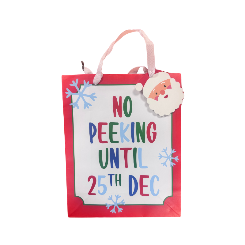 Christmas Santa Gift Bag
