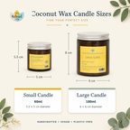 Spiced Orange Coconut Wax Candle | Hand-Poured | 60ml